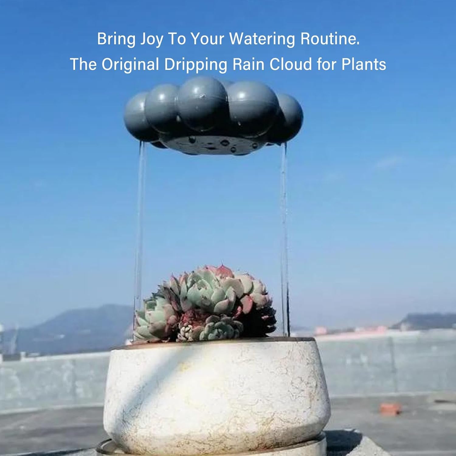 Dripping Rain Cloud for Plants – Self Watering Planter Insert & Automatic Plant Waterer with 2 Rods, Gray ABS Indoor Outdoor Plant Watering Device for Houseplants, Plant Lover Gift
